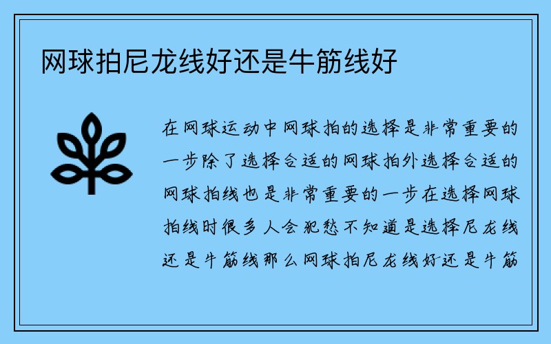 网球拍尼龙线好还是牛筋线好