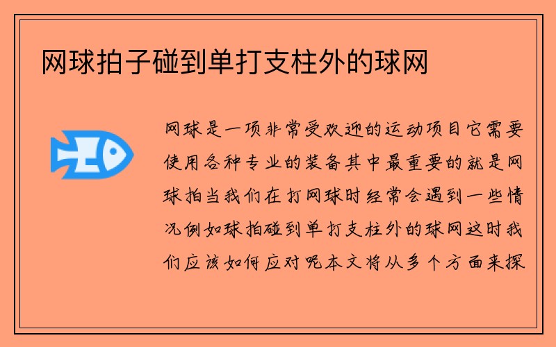 网球拍子碰到单打支柱外的球网